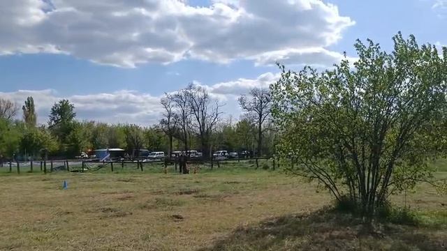 2.  выражено/перв ГРАНИЦА МИЛЛЕНИУМ УНЗЕР ФРАУ (Floreshal Forebs – Fitslay Kin Eseniya)