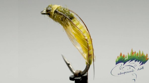 Caddis Pupa из Личинуса! ОНА КА КНАСТОЯЩАЯ!!!