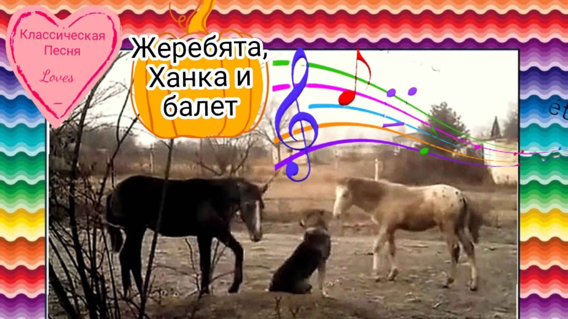 Жеребята, Ханка и балет / Песни про лошадей