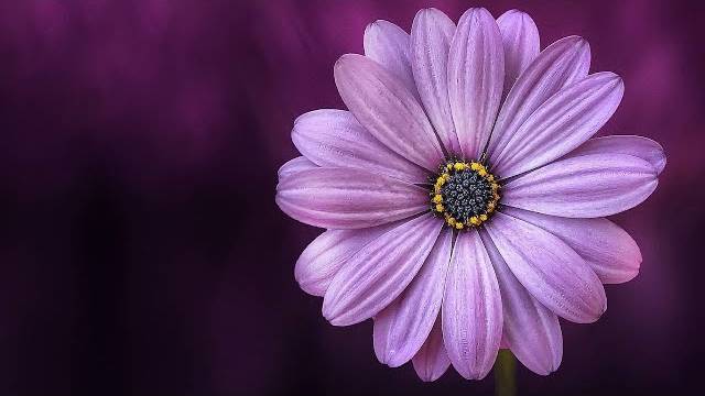 Расслабляющая музыка для сна, Релакс, Спокойная музыка слушать