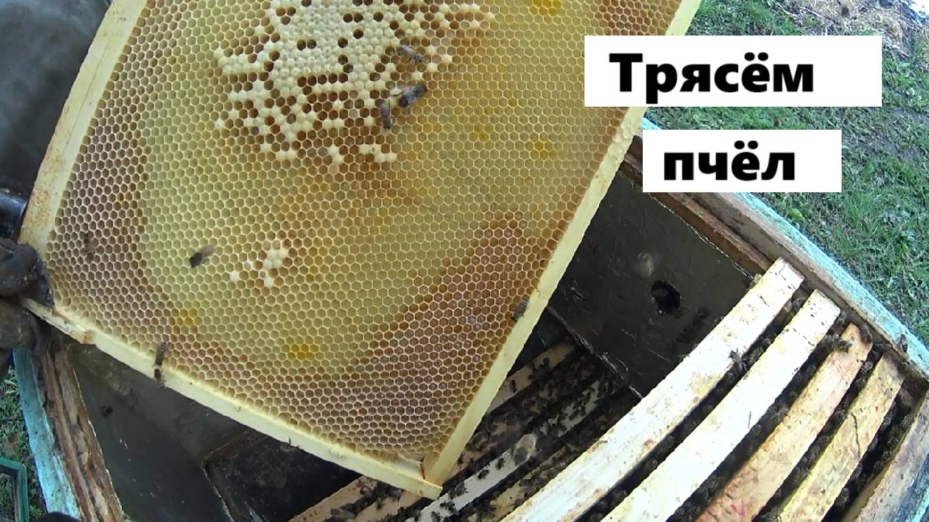 Самый эффективный вариант метода Дэмари на пасеке. смотреть онлайн