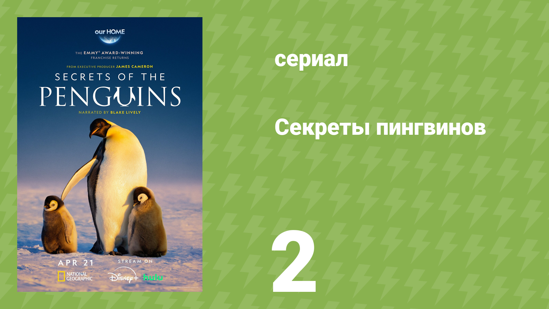 Секреты пингвинов 2 серия «Выживает умнейший» (документальный сериал, 2025) смотреть онлайн