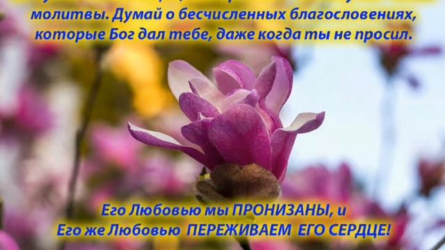 Даже, если не поверили нам. 19.06.2020. Старший пастор Людмила Мастерова. Церковь В Реке Жизни. смотреть онлайн