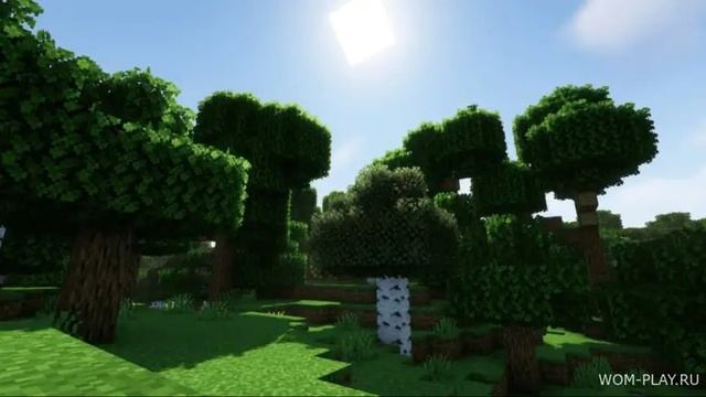 Обзор Мода Better Bushy Leaves Текстур пак 1.20.4, 1.19.4, 1.18.2, 1.17.1, 1.16.5 для Minecraft неиз смотреть онлайн