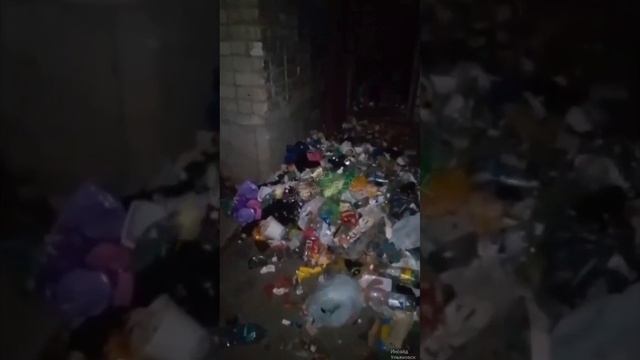 Жильцы дома на Станкостроителей, 25 вынуждены сами чистить забитый мусоропровод    В многоквартирном
