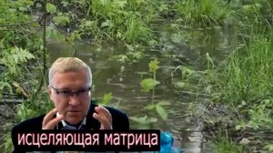 04-05-2025  Исцеляющая матрица Гаряева для сна и отдыха.