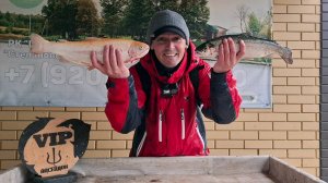 Форель - янтарная и радужная - на спиннинг. Закрыл весенний сезон форелевой ловли #рыбалка