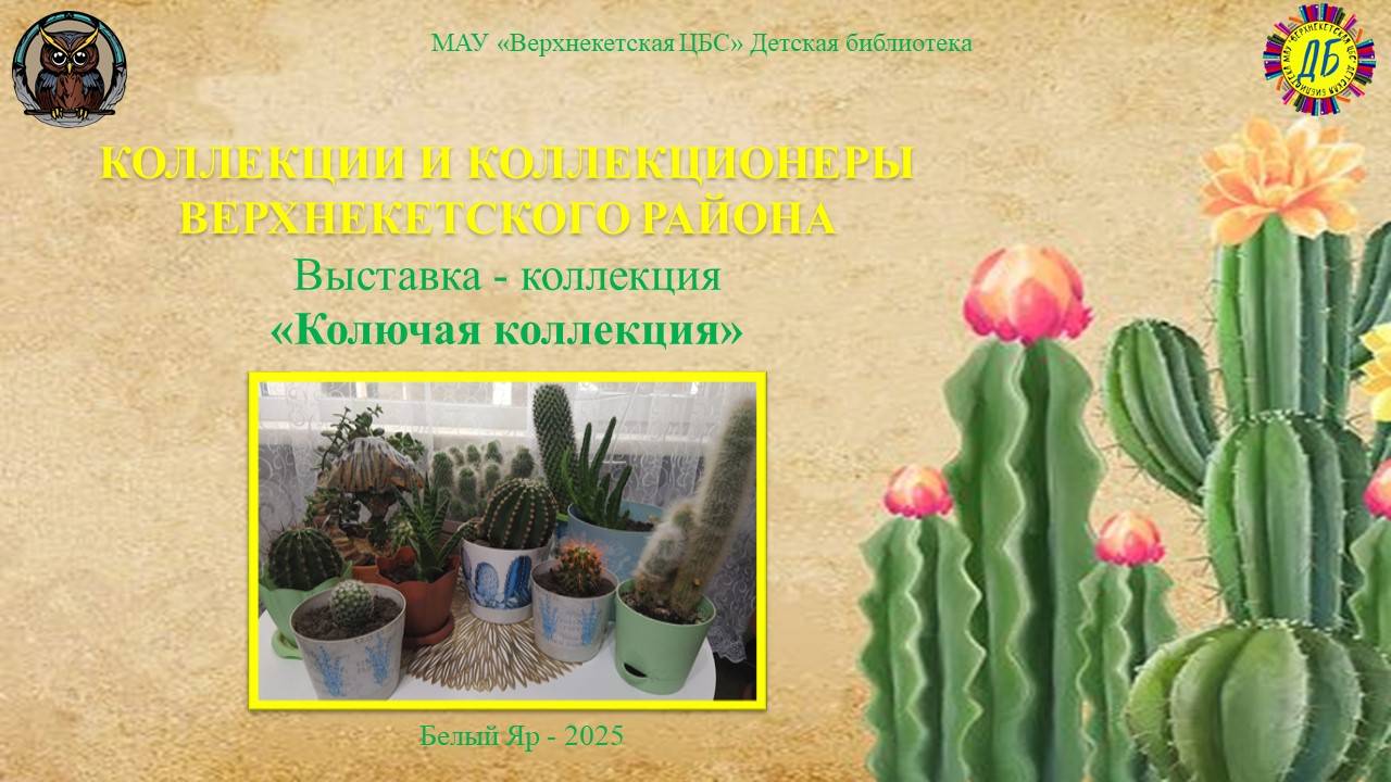 КАКТУС (Живут на свете чудаки и имя им – коллекционеры, вып.8) смотреть онлайн