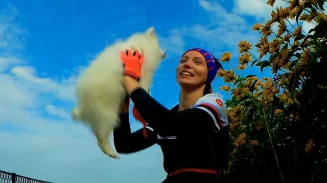 ШПИЦ|РАЗВОД|БАБЫ СТЕРВЫ|ALEKSA ROKS| смотреть онлайн