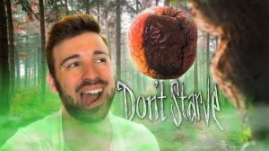 ЯДОВИТЫЙ ЛЕС