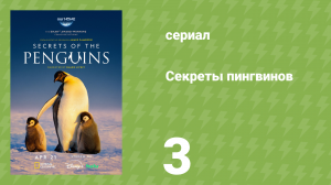 Секреты пингвинов 3 серия «Бунтари по призванию» (документальный сериал, 2025)