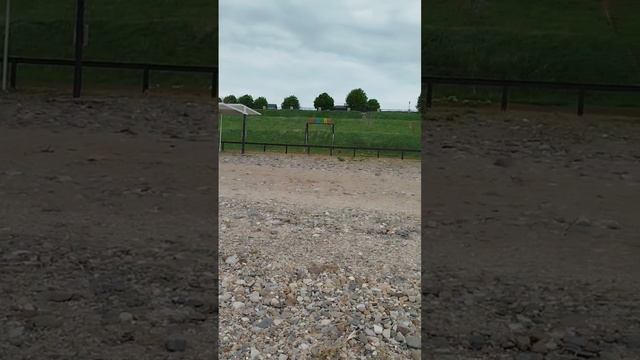 Город Ейск погода сегодня 2 мая 2025, какое море в Ейске сейчас, май в Ейске, пляж Каменка в Ейске смотреть онлайн