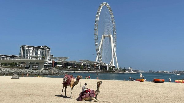 БЕГ ЗА ВПЕЧАТЛЕНИЯМИ AIN DUBAI / ОКО ДУБАЙ ОБЪЕДИНЕННЫЕ АРАБСКИЕ ЭМИРАТЫ