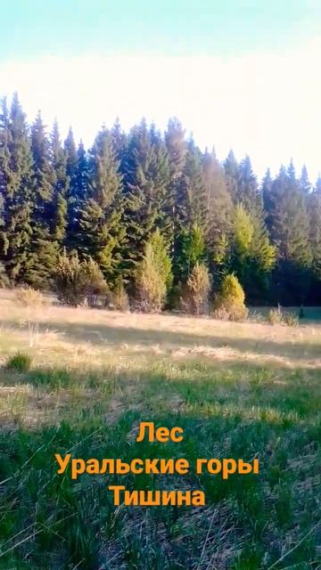 уральские горы|на разведку на металлоломом