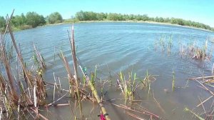 НА РЫБАЛКУ ВСЕЙ СЕМЬЁЙ!!! ДОН!!! ХУТОР ВЕРТЯЧИЙ!!!