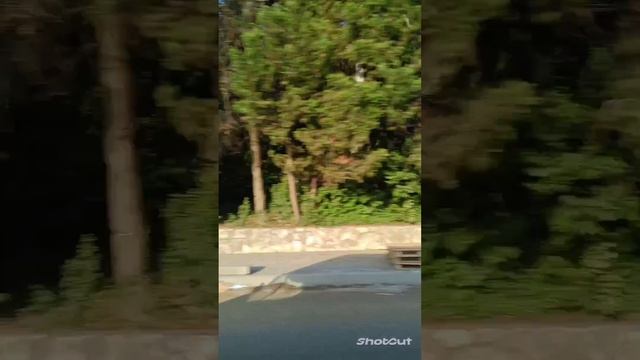 ОТДЫХ В АБХАЗИИ. ЕДЕМ ПО ГАГРЕ