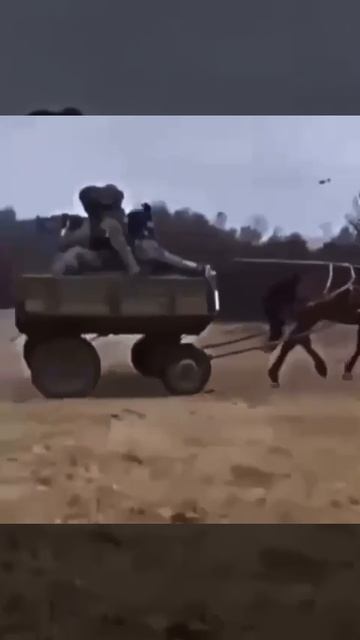 Ну мы поехали ))) смотреть онлайн