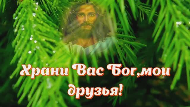 Моим Друзьям от всей Души смотреть онлайн