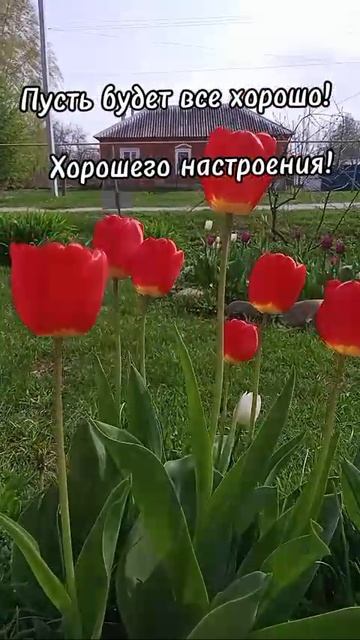 Доброе утро☀ 🌝⏰ смотреть онлайн