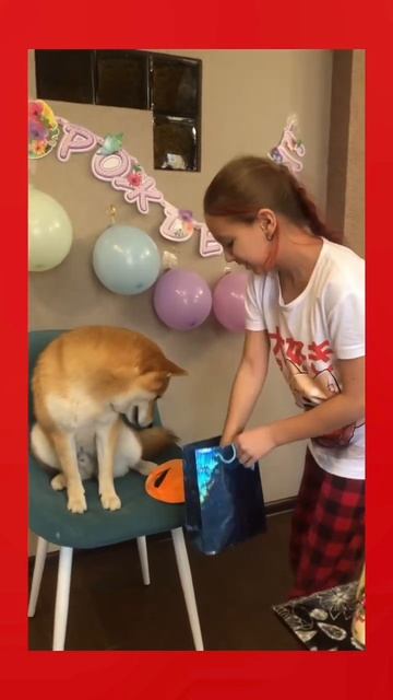 #Юкочке уже #2 года 🥹🧡🐕 смотреть онлайн