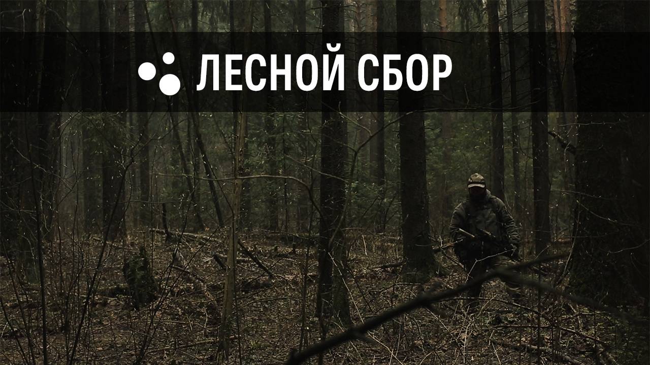 Лесной сбор (02.05.2025 г.) | Milsim г. Киров смотреть онлайн