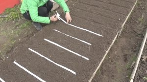 6 соток 30 апреля 2025 года. 2 часть. Сею морковь лентой.