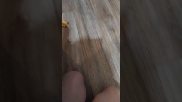 Мишень+Арчи=🐶🩷🩷🩷 смотреть онлайн