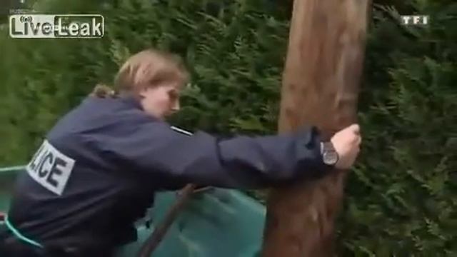 Парижский титаник смотреть онлайн