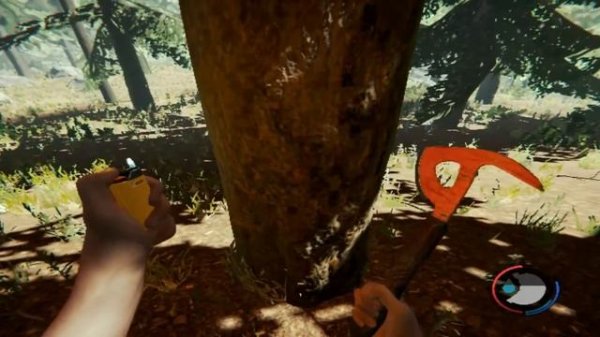 The Forest ПРОХОЖДЕНИЕ