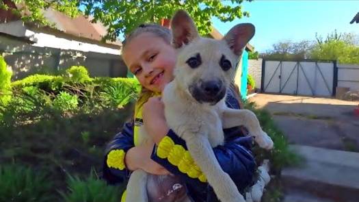 Старые игрушки на чердаке _ Игры с пушистиком Кексом и Ярославой _ Tiki Taki Kids