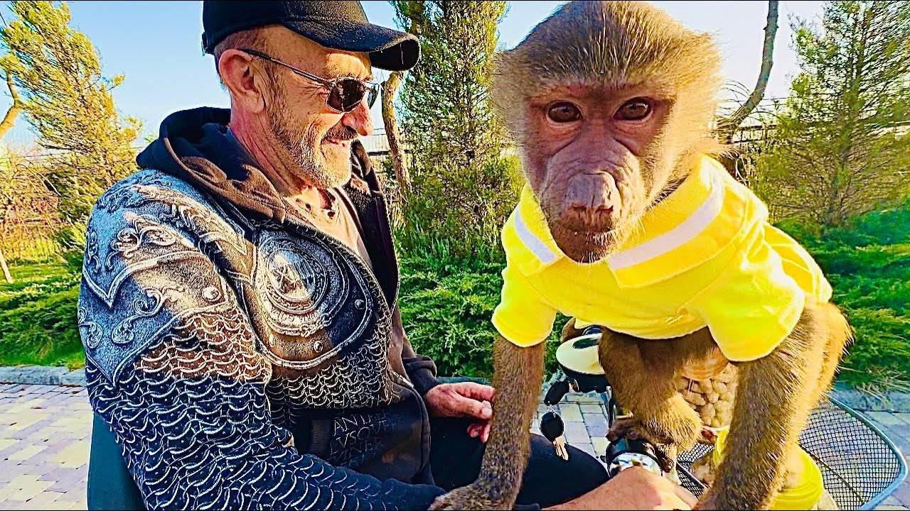 С Днем рождения, Люська! Самой известной и любимой обезьянке сегодня 2года!