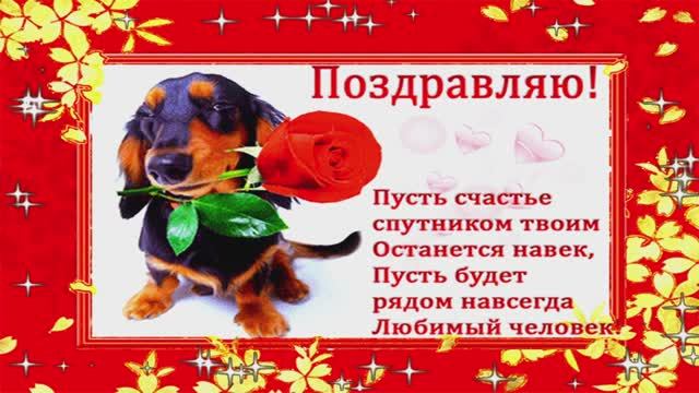 День Собачьего Счастья 4 мая Наши домашние животные смотреть онлайн