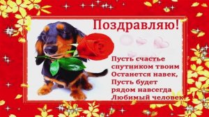 День Собачьего Счастья 4 мая Наши домашние животные