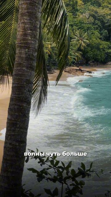 🌤️Погода на Пхукете в мае смотреть онлайн