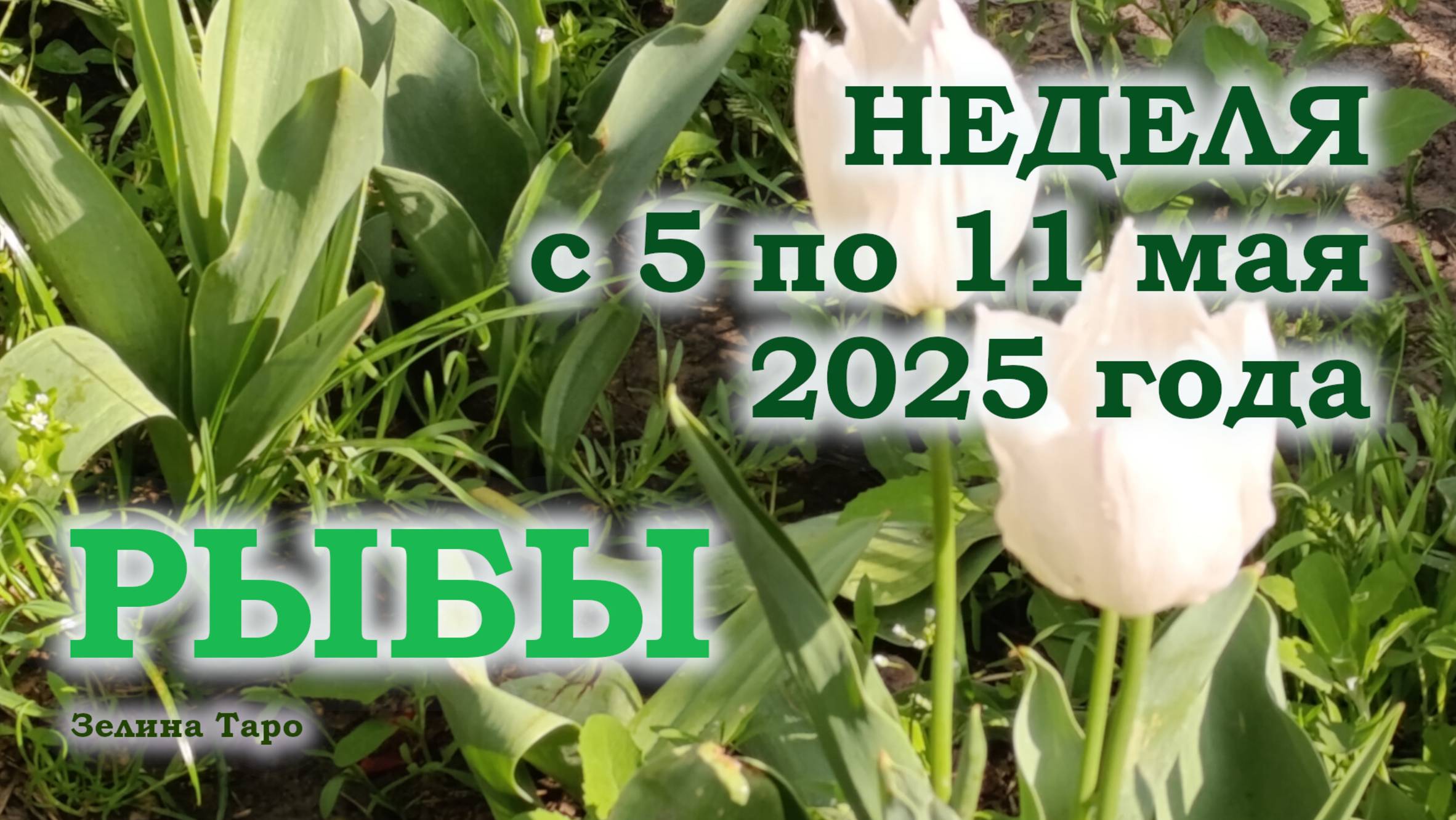 РЫБЫ | ТАРО прогноз на неделю с 5 по 11 мая 2025 года