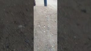 Акватекс викинг.