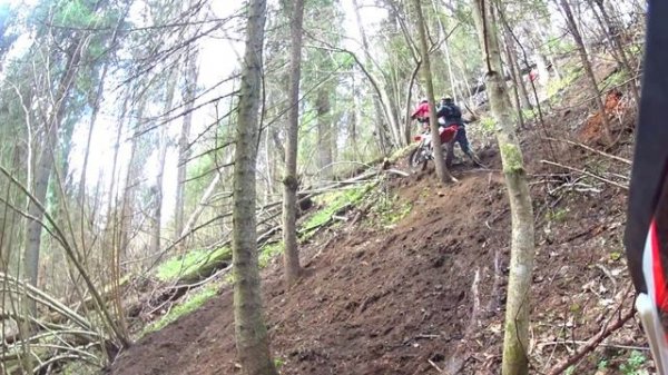 Тренировка GMMX