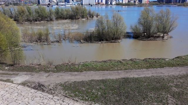 Сибирь-Арена, Новосибирск, 1 мая 2025