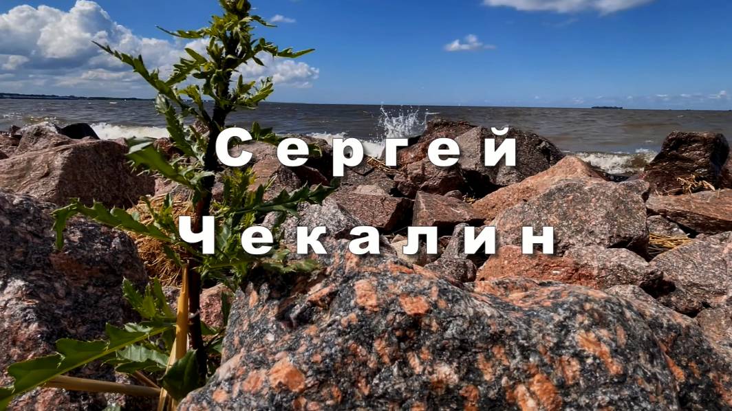 Сергей Чекалин. Сборник красивой инструментальной музыки
