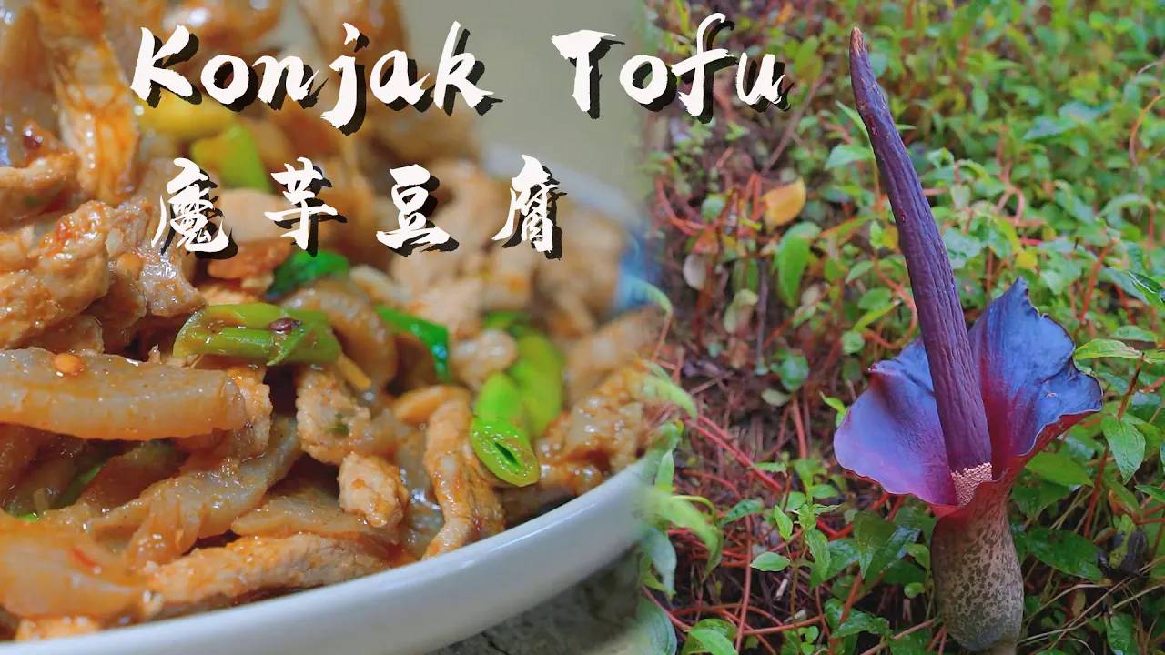 Konjak Tofu： Deciphering The Production Process Of Konjac Tofu