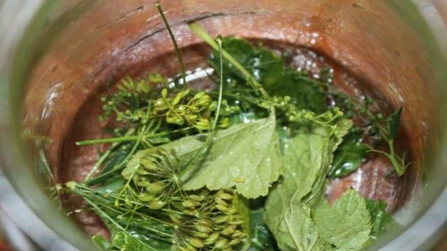 Сборник рецептов