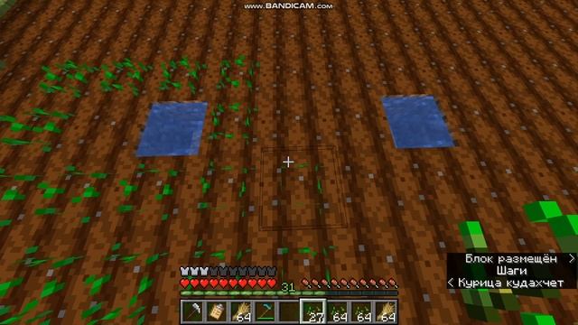 РИДР. Начало продолжается. Что произошло. Поход на работу.