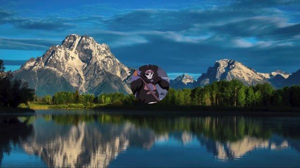 Soft Rain & Nature Sounds | Calming ASMR Journey