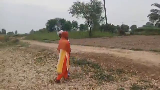 Папина любовь