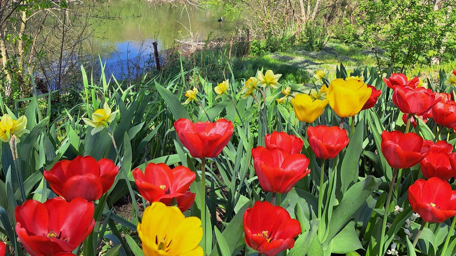 Огород в начале мая .Обзор. 04.05.2025 г. смотреть онлайн