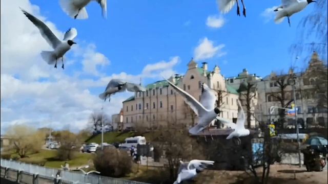 Выборг 2 мая 2025 смотреть онлайн