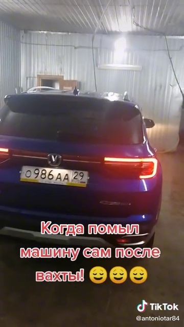 Промывка ласточки