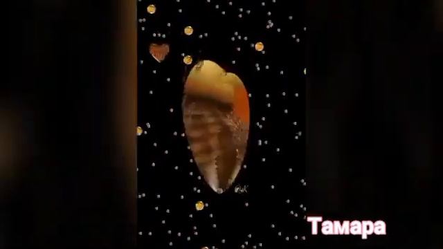 Катя Бужинская.Не забывается любовь 💕🌹