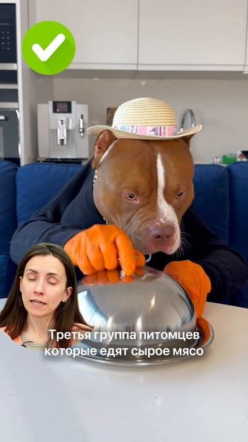 Главное правило защиты от глистов