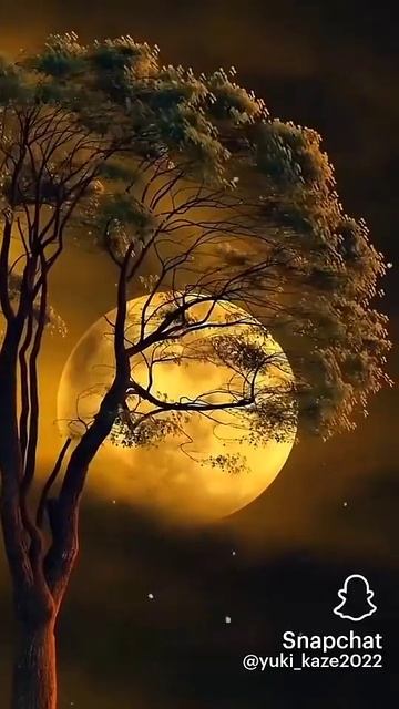 1 января 2025 г. смотреть онлайн